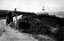 CARRETERA AL FARO. COCHE CABALLOS. COCHERO